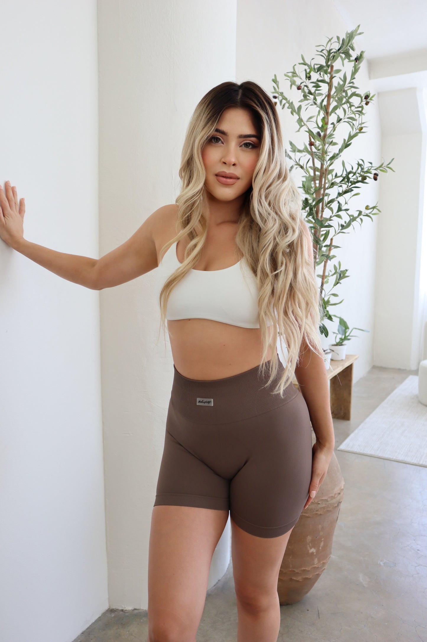 Super Shorts (BROWN)