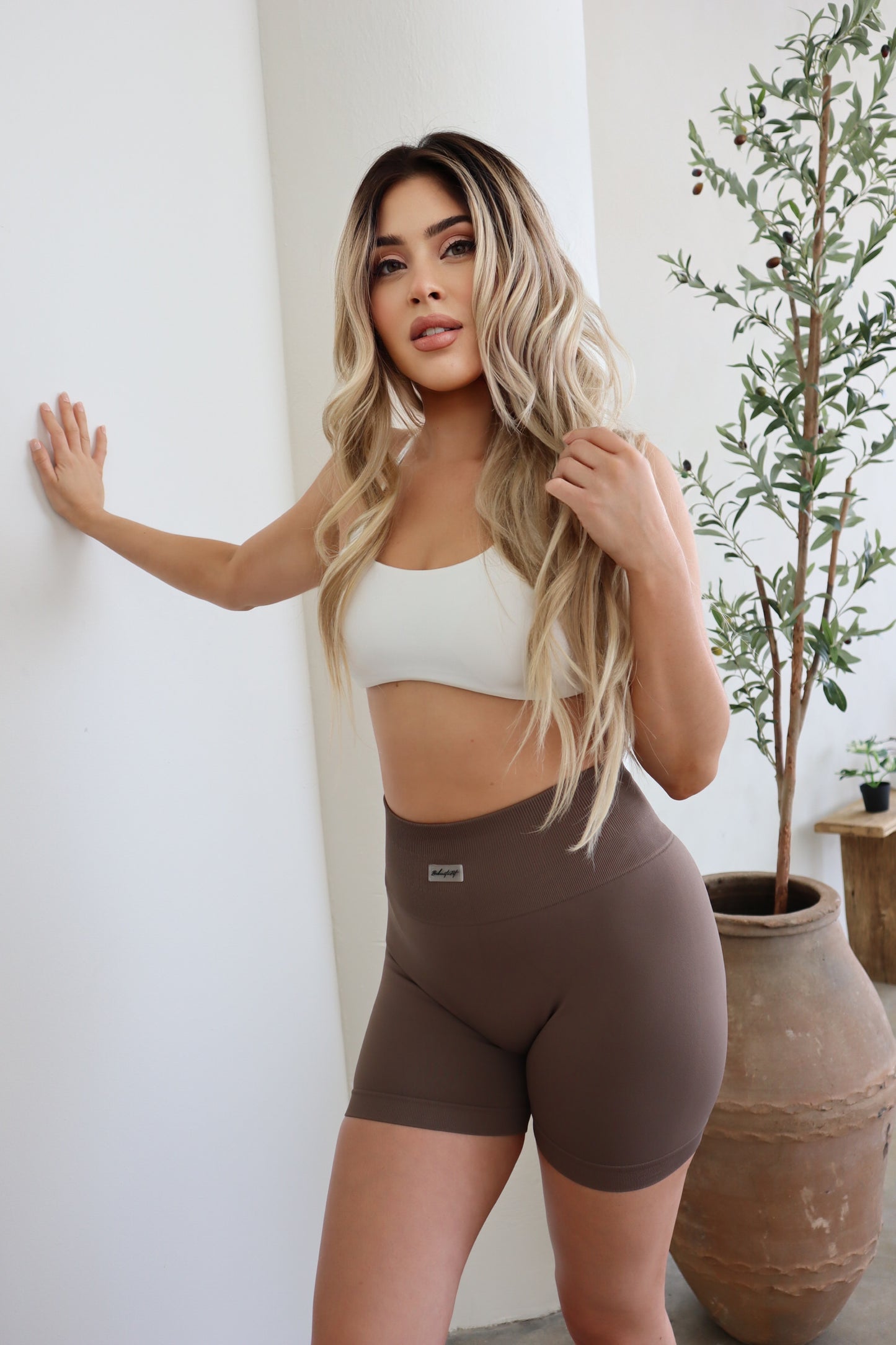 Super Shorts (BROWN)